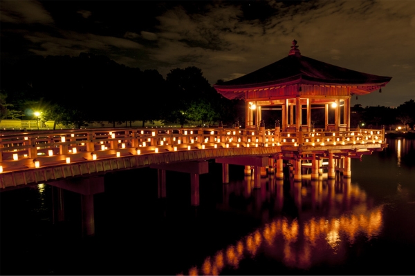 景區(qū)燈光夜游